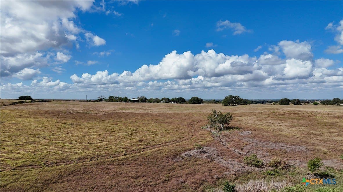 35 acres in Guadalupe County gallery image 4