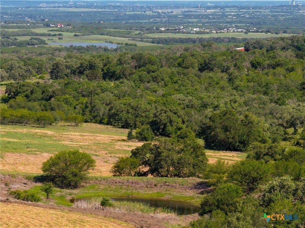 35 acres in Guadalupe County - photo 19