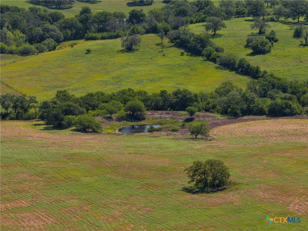 35 acres in Guadalupe County featured view