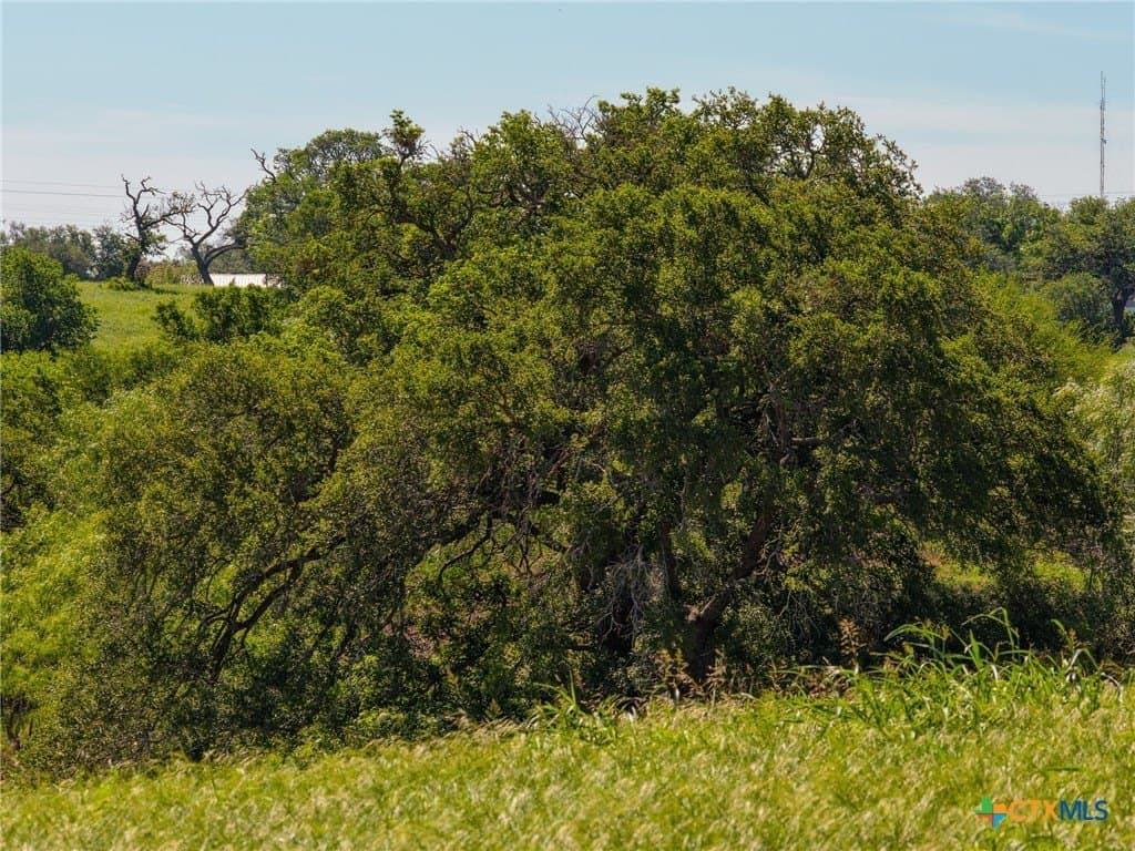 35 acres in Guadalupe County - photo 36