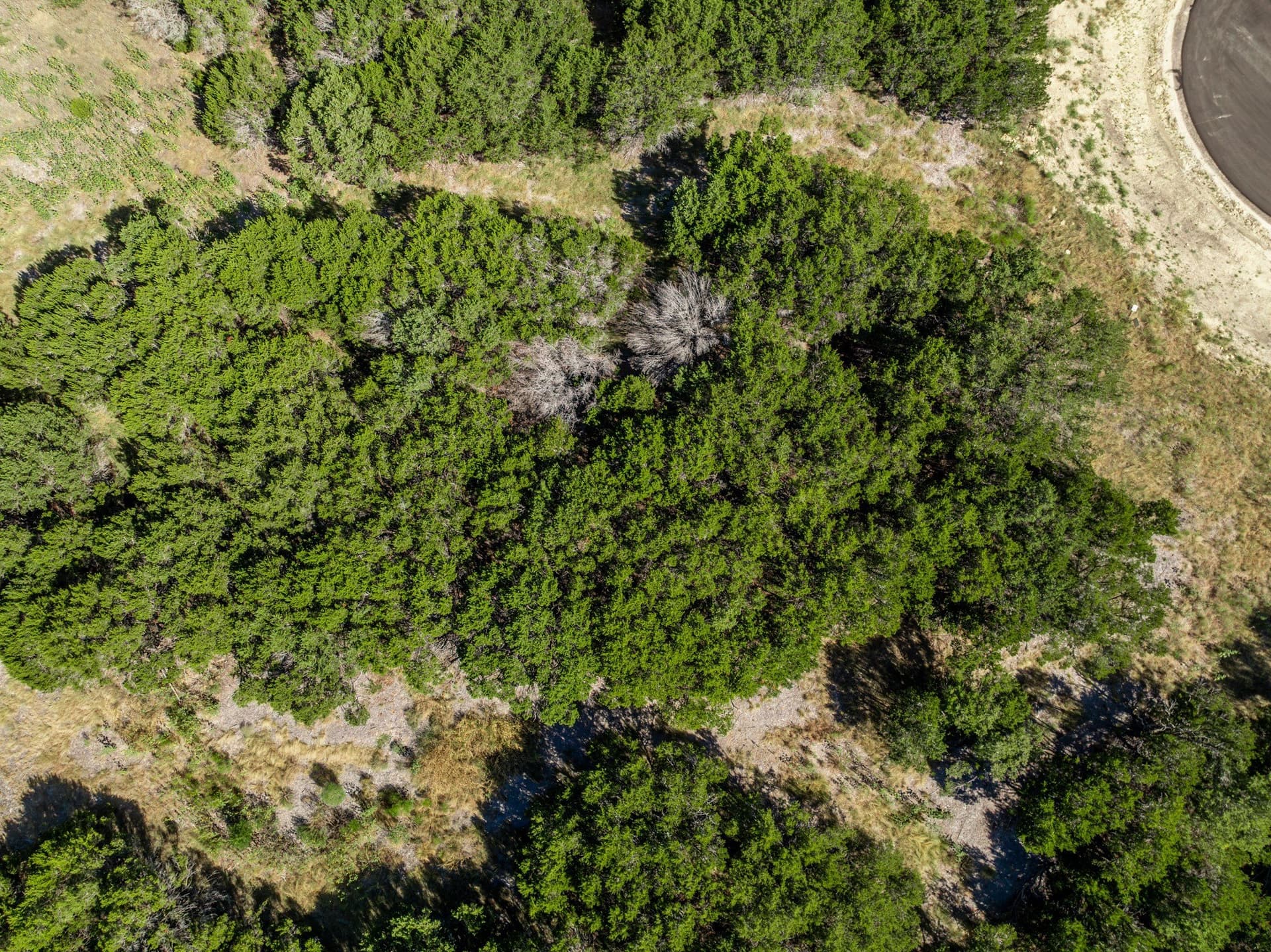 3.19 acres in Coryell County - photo 33