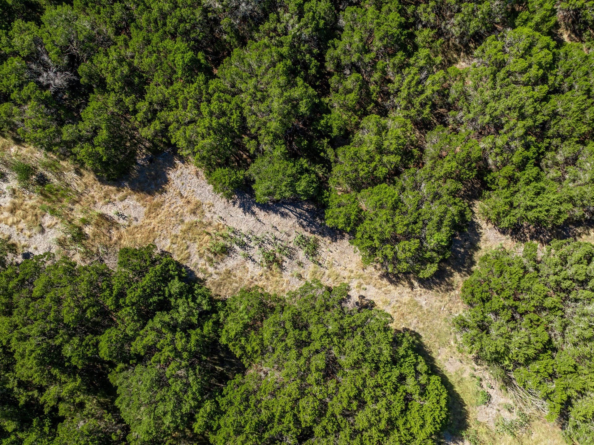 3.19 acres in Coryell County - photo 31
