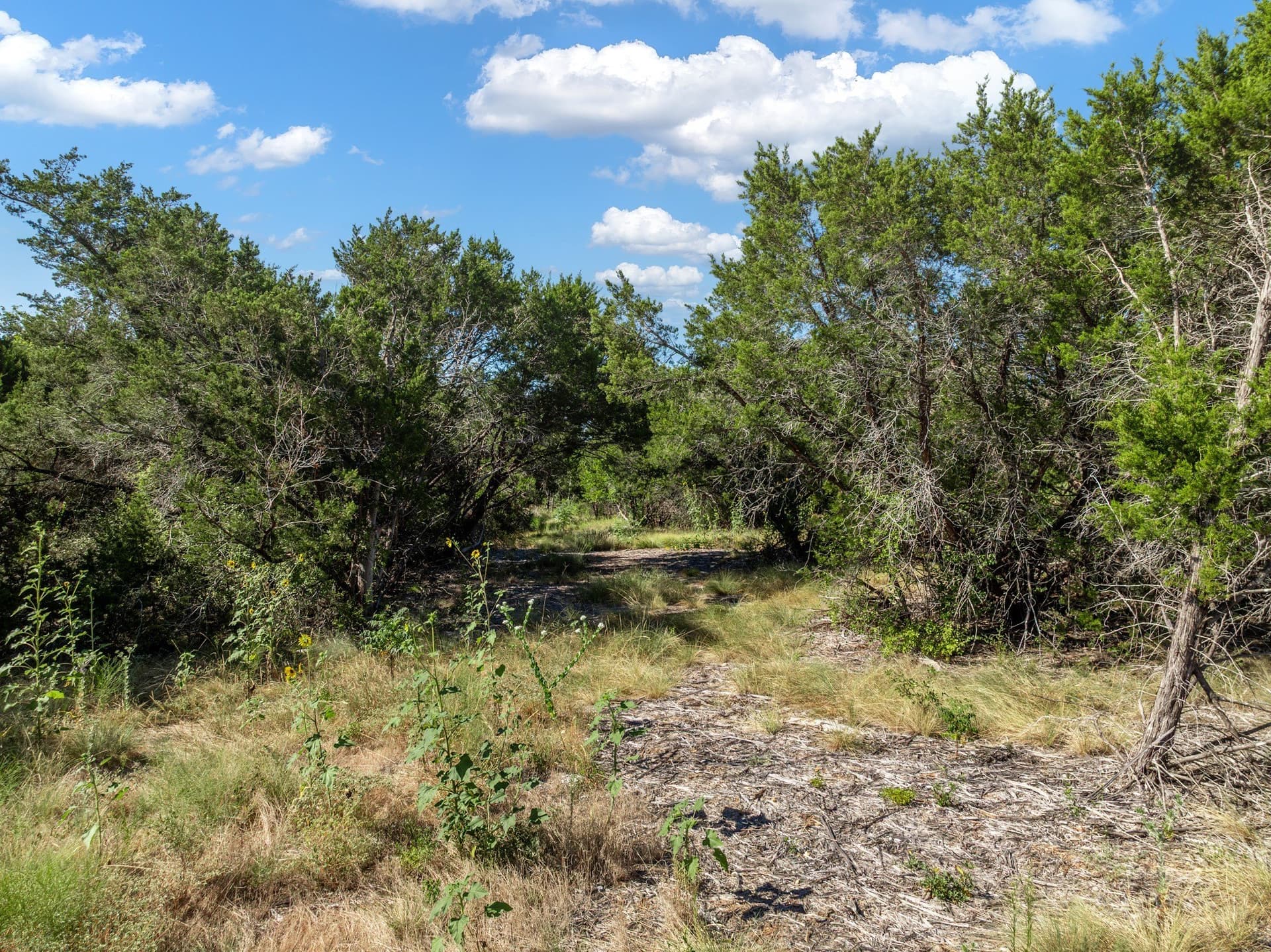 3.19 acres in Coryell County - photo 22