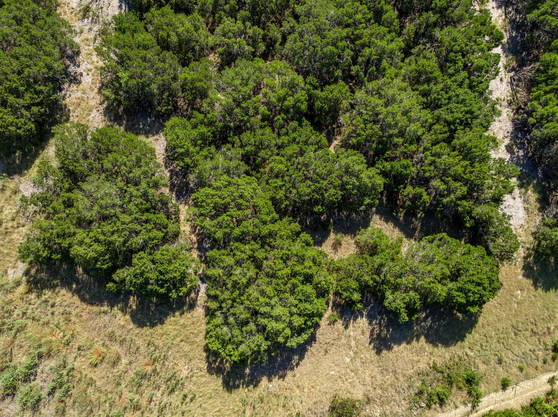 3.19 acres in Coryell County - photo 28