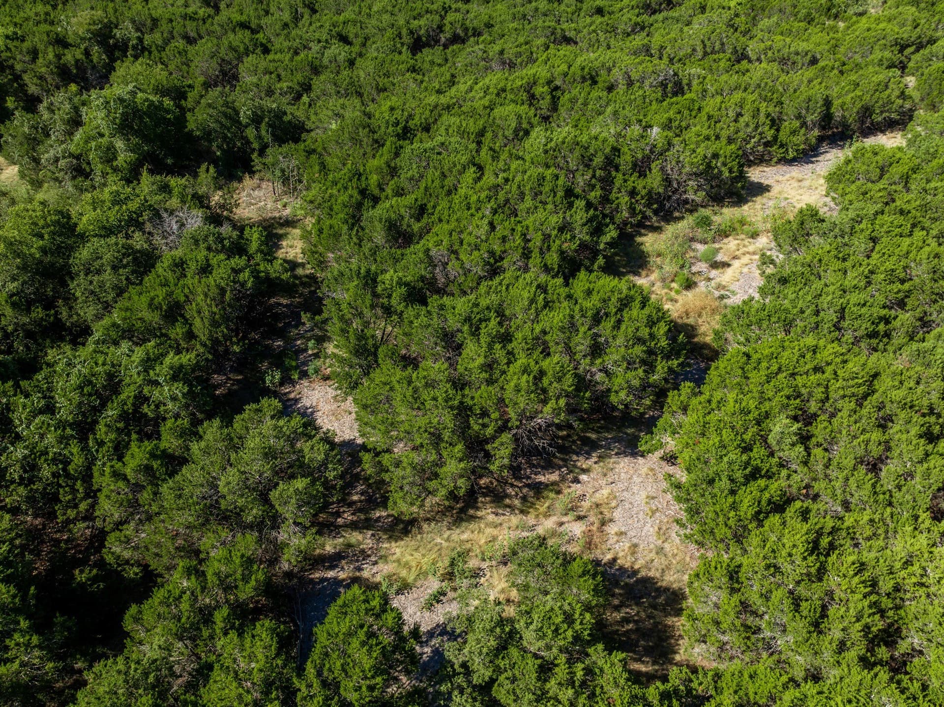 3.19 acres in Coryell County - photo 23