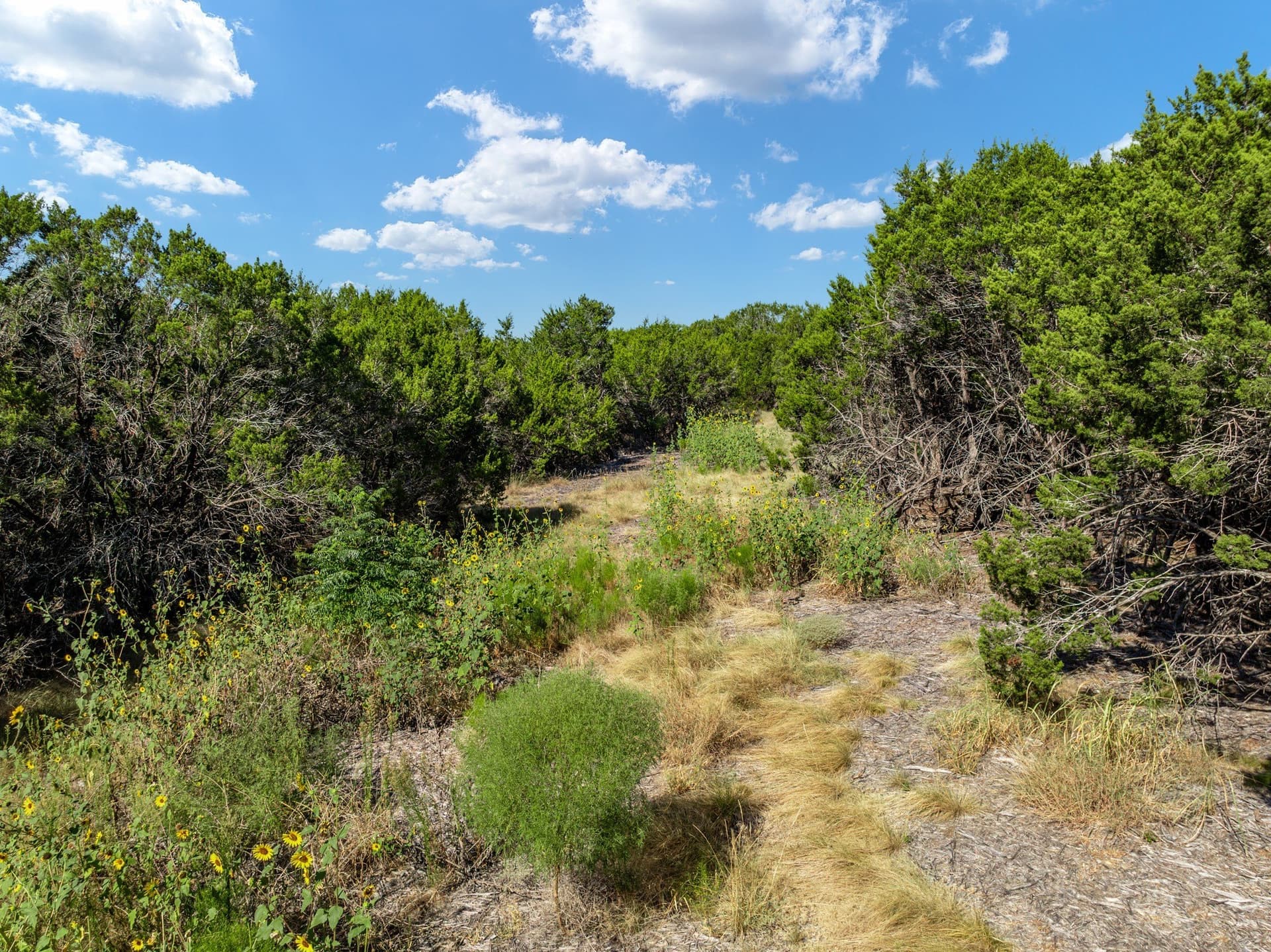 3.19 acres in Coryell County - photo 24