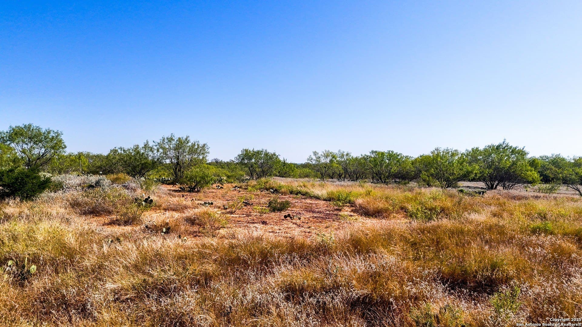 22.02 acres in Frio County - photo 31