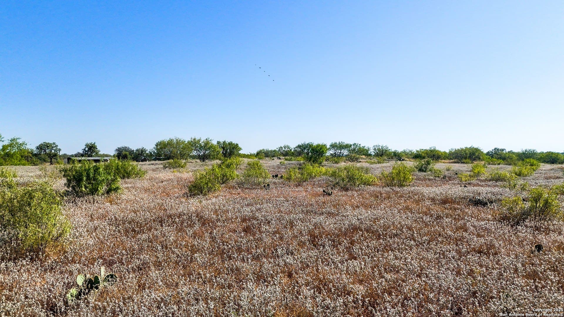 22.02 acres in Frio County - photo 32