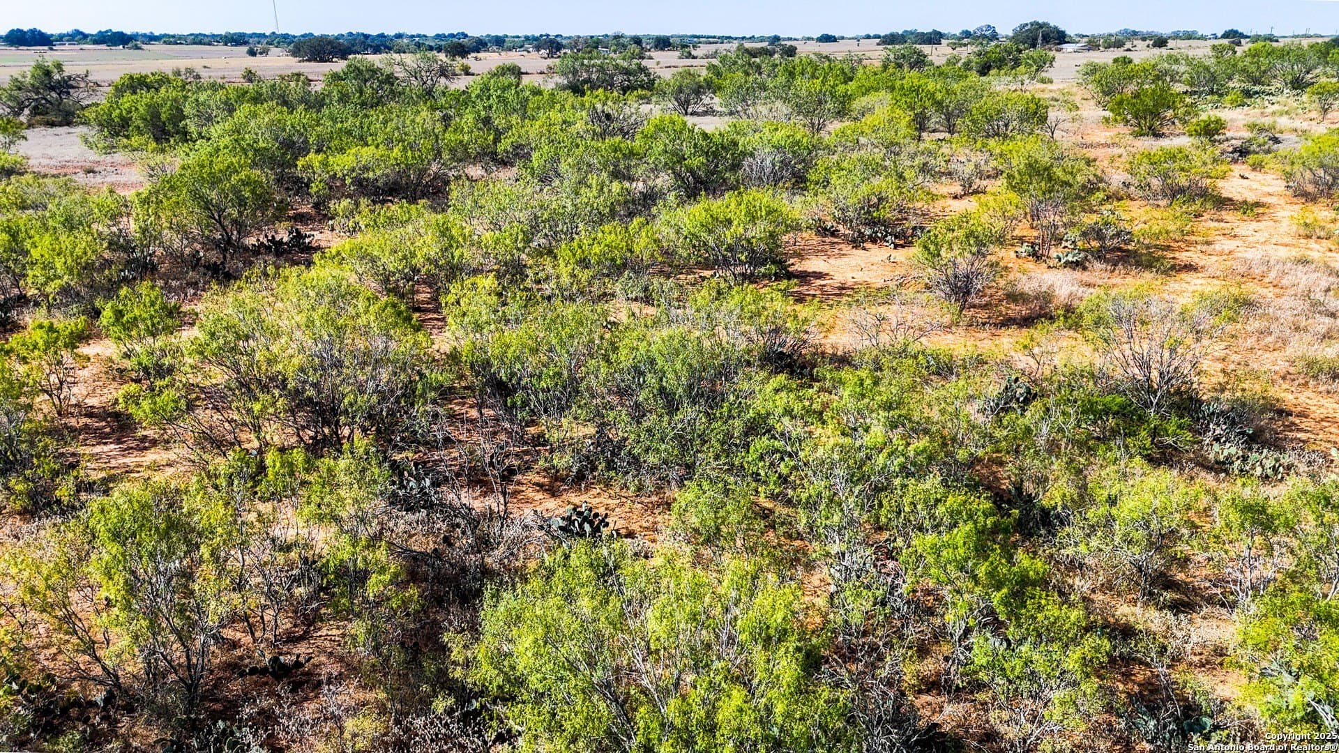 22.02 acres in Frio County - photo 4
