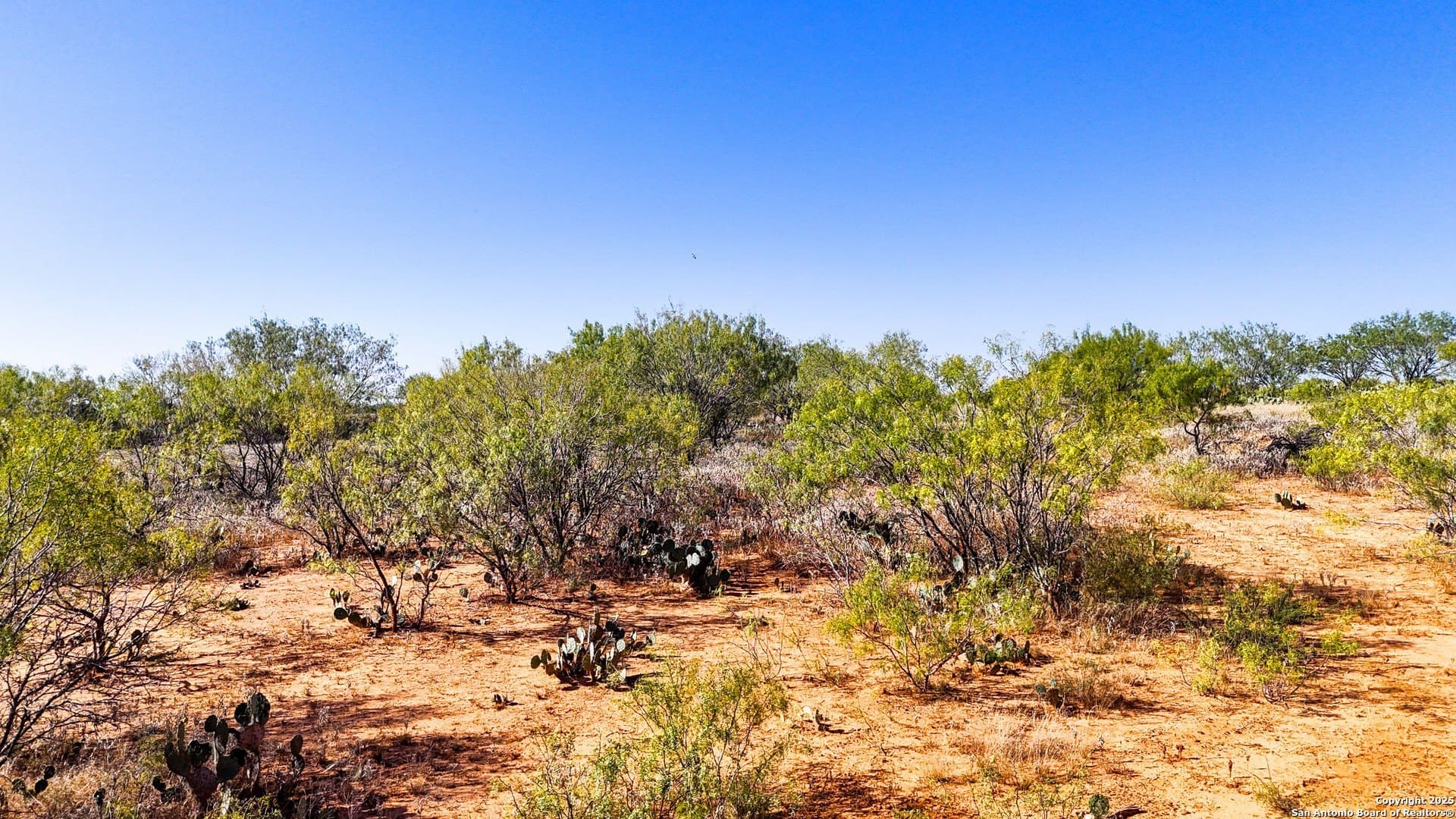22.02 acres in Frio County - photo 46