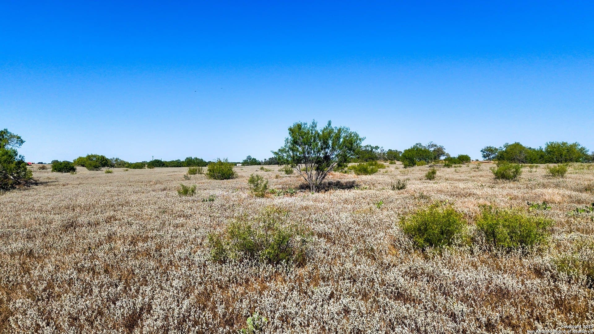22.02 acres in Frio County - photo 36