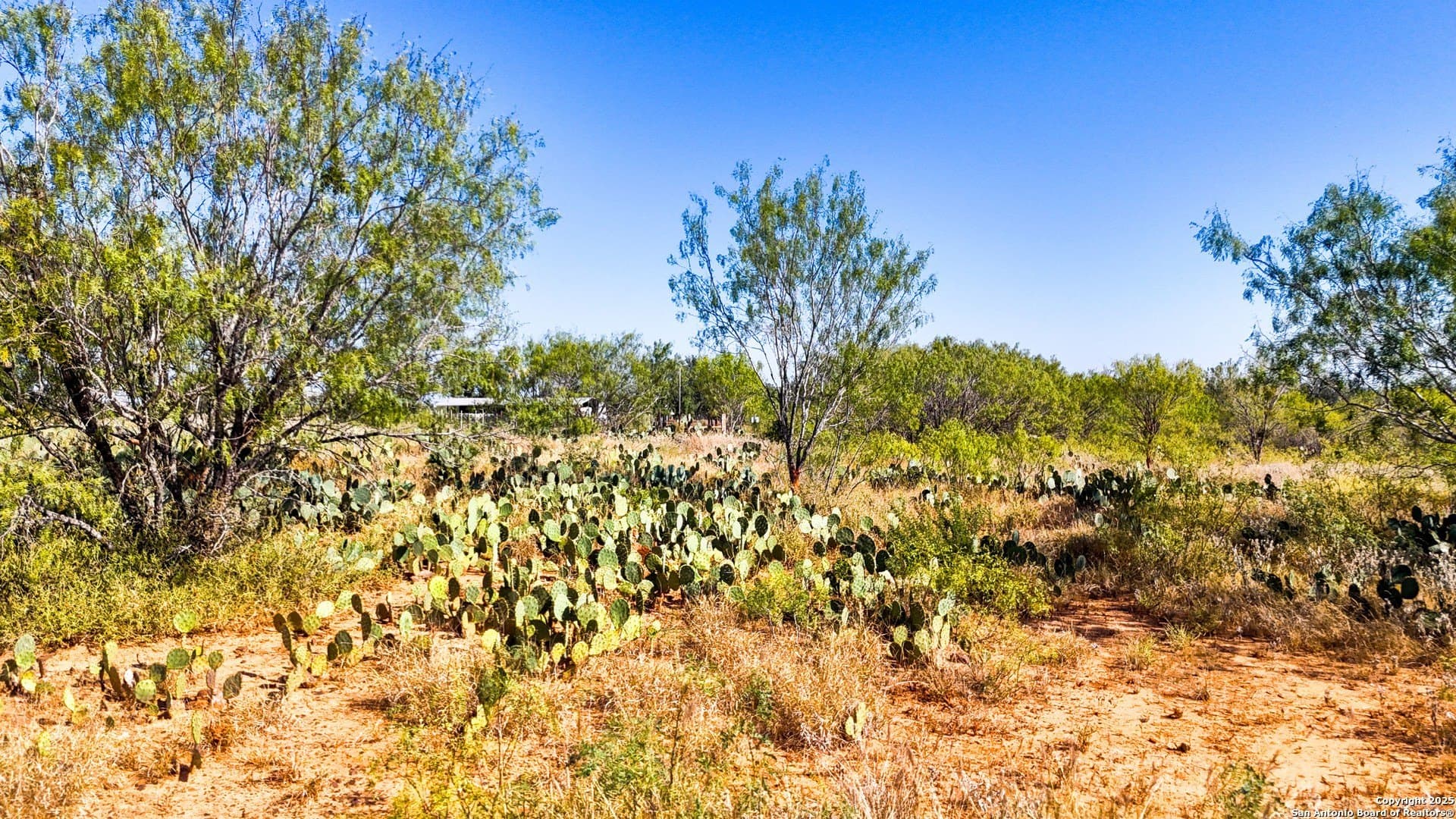 22.02 acres in Frio County - photo 30