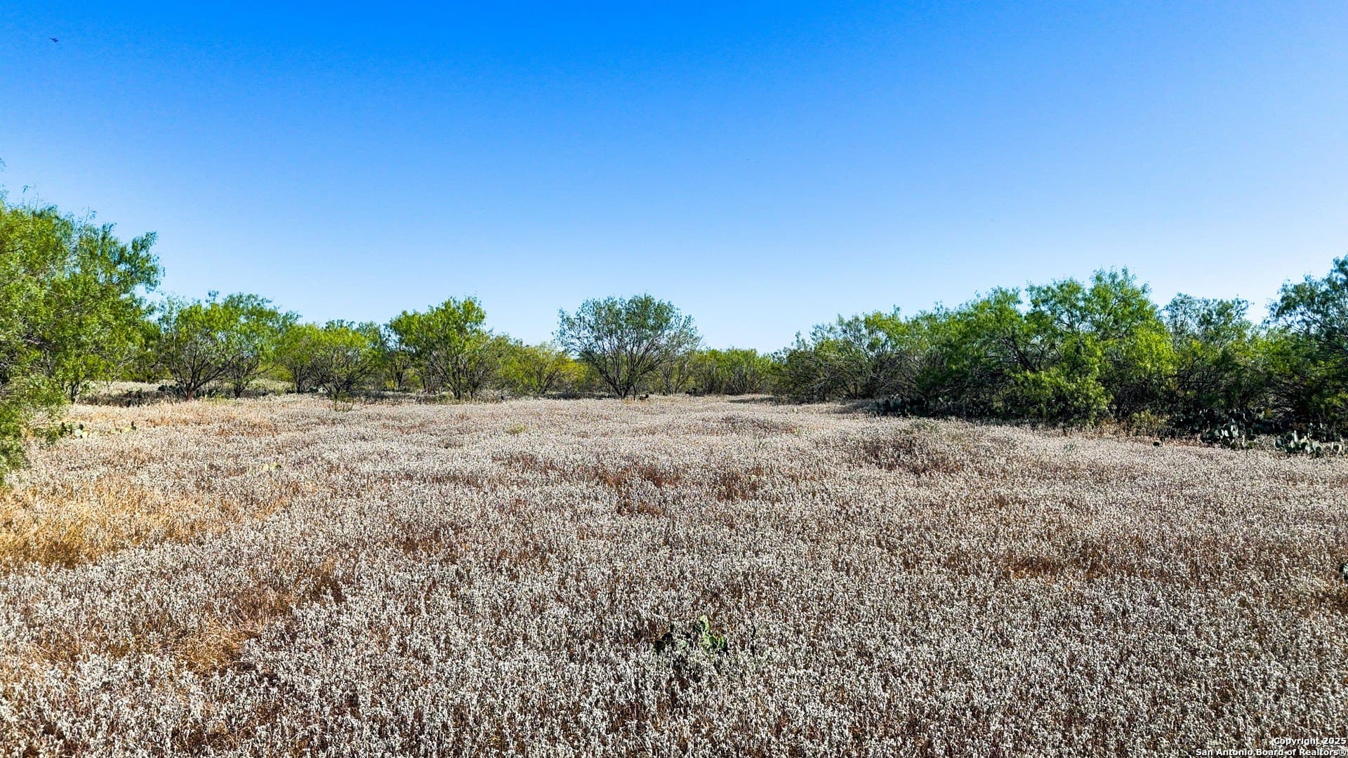 22.02 acres in Frio County - photo 27