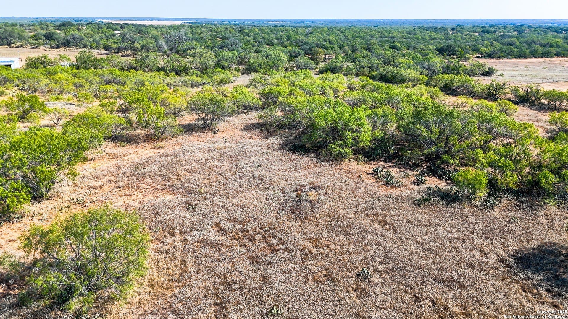 22.02 acres in Frio County - photo 5