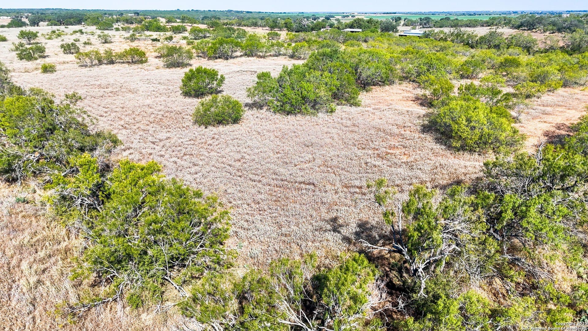 22.02 acres in Frio County - photo 26
