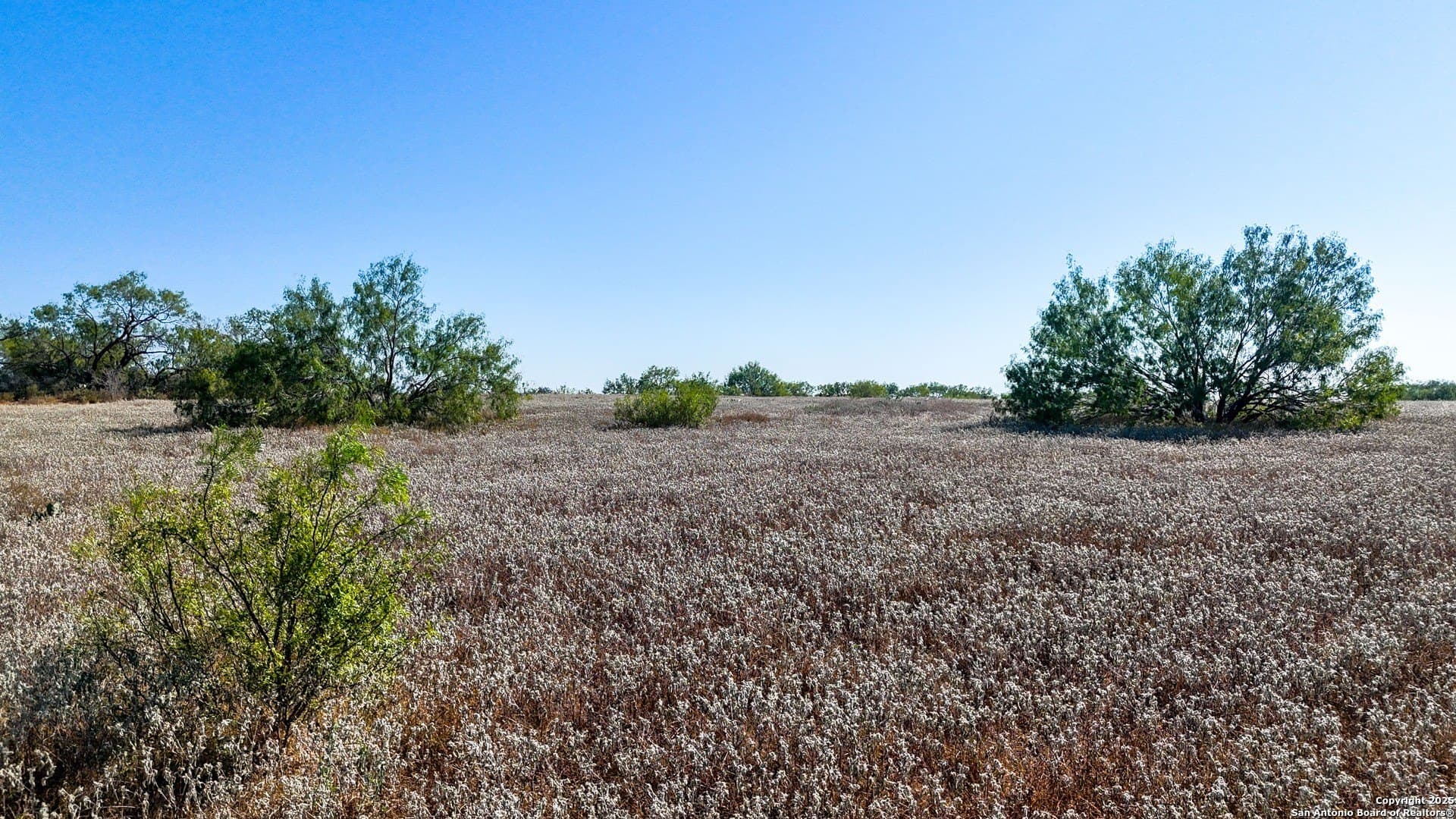 22.02 acres in Frio County - photo 33