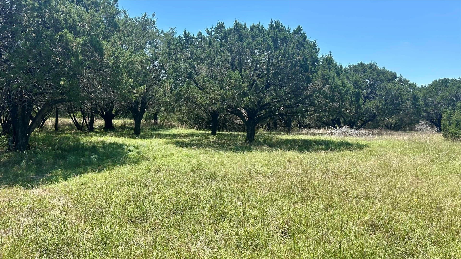 5.37 acres in Coryell County - photo 3