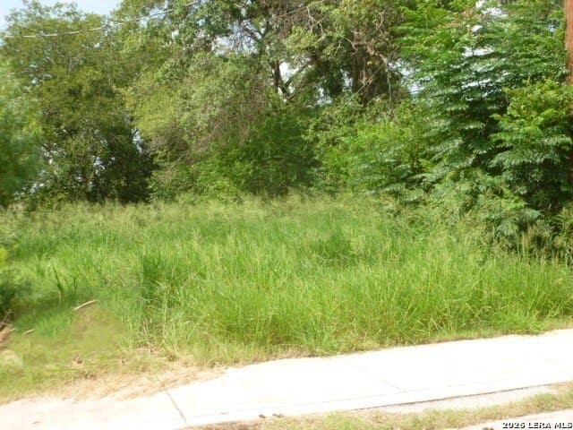 0.24 acres in Bexar County - photo 2