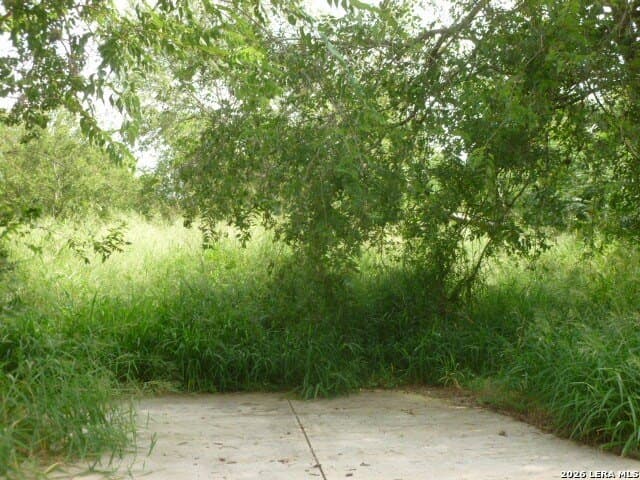 0.24 acres in Bexar County - photo 3