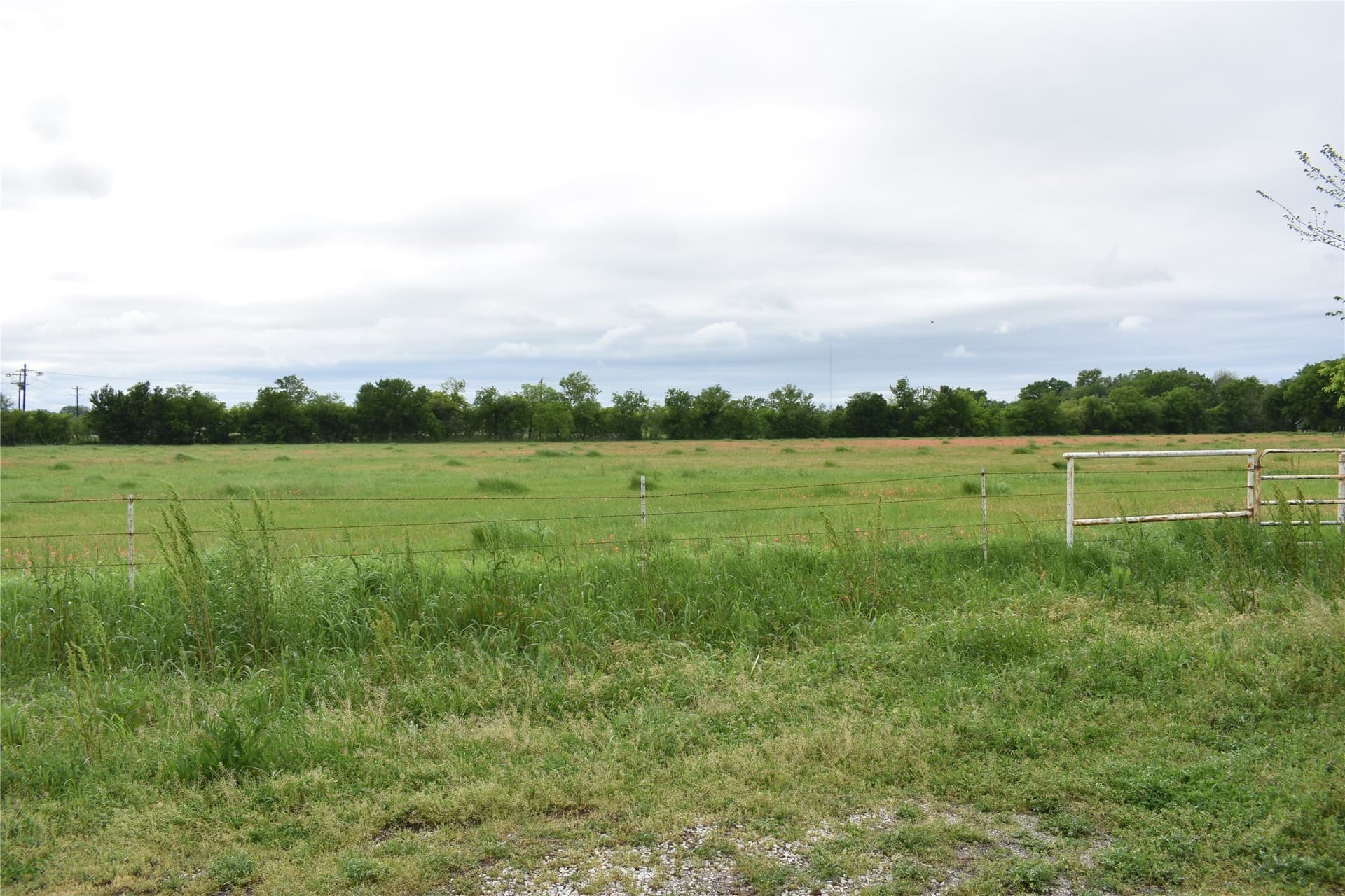 11.16 acres in Denton County - photo 29