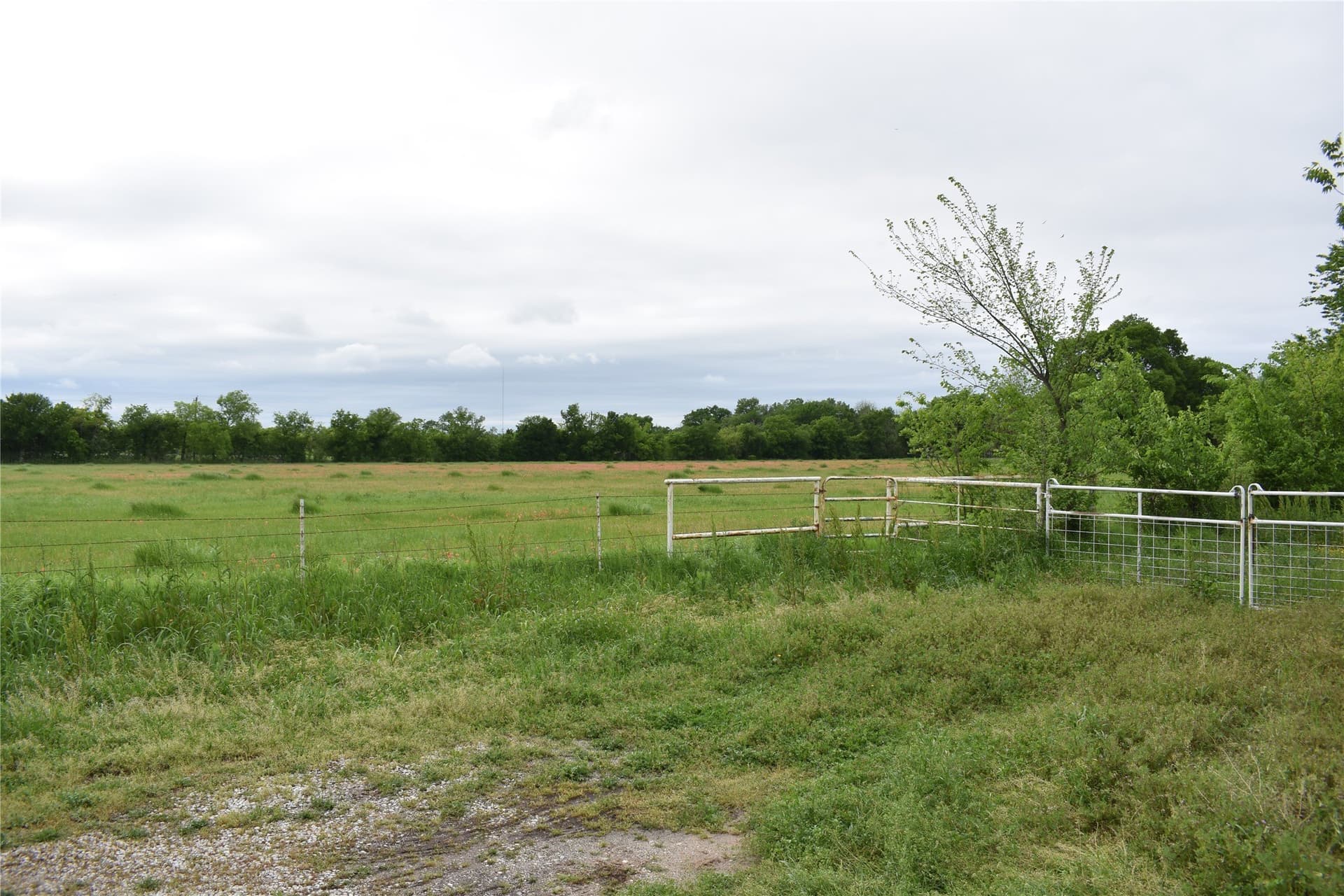 11.16 acres in Denton County - photo 25