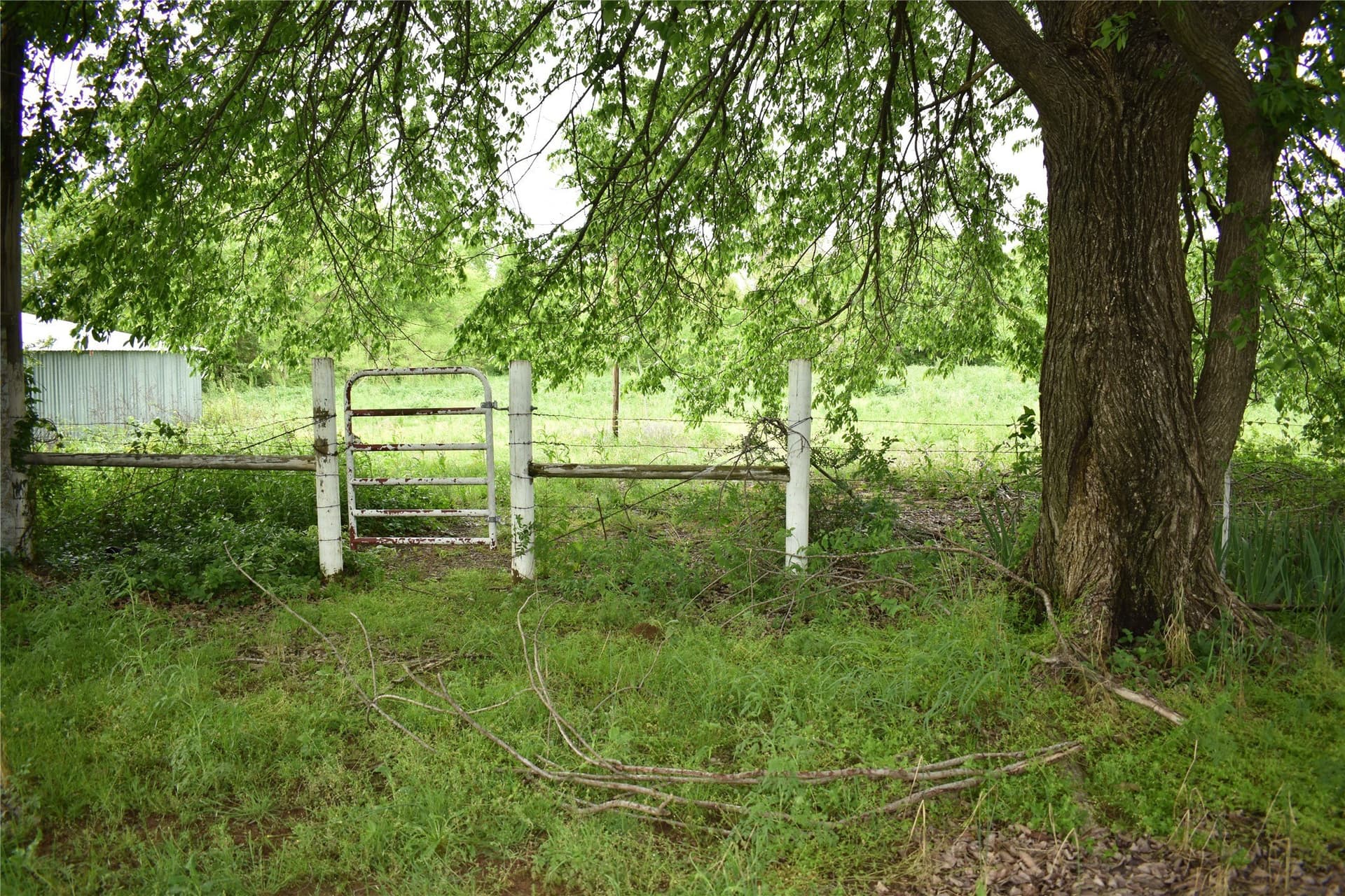 11.16 acres in Denton County - photo 20