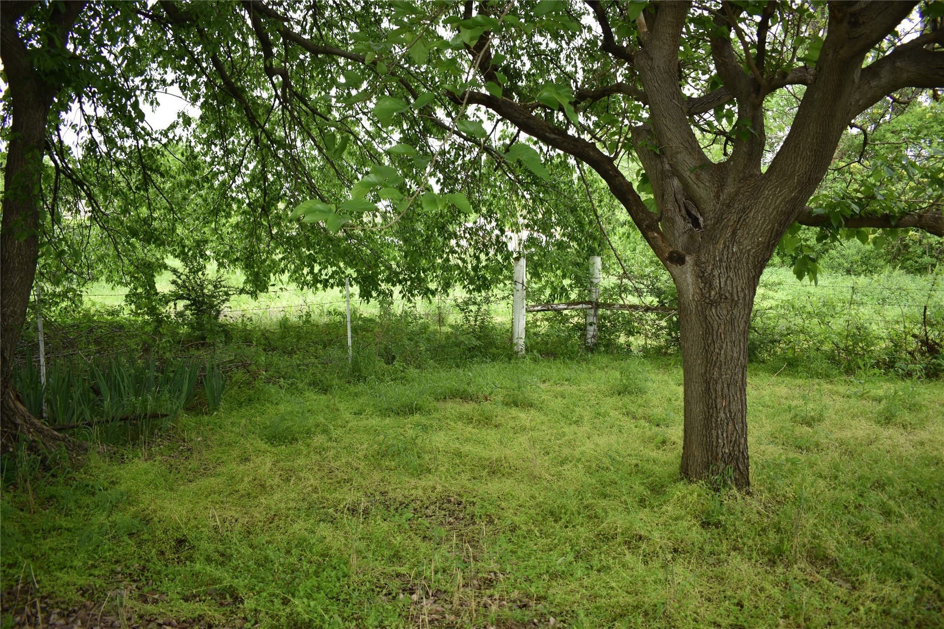11.16 acres in Denton County - photo 21