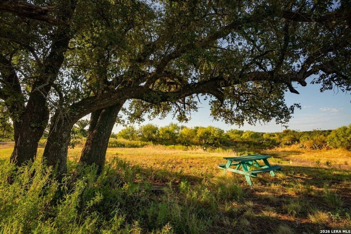 124 acres in Mason Co County - photo 5