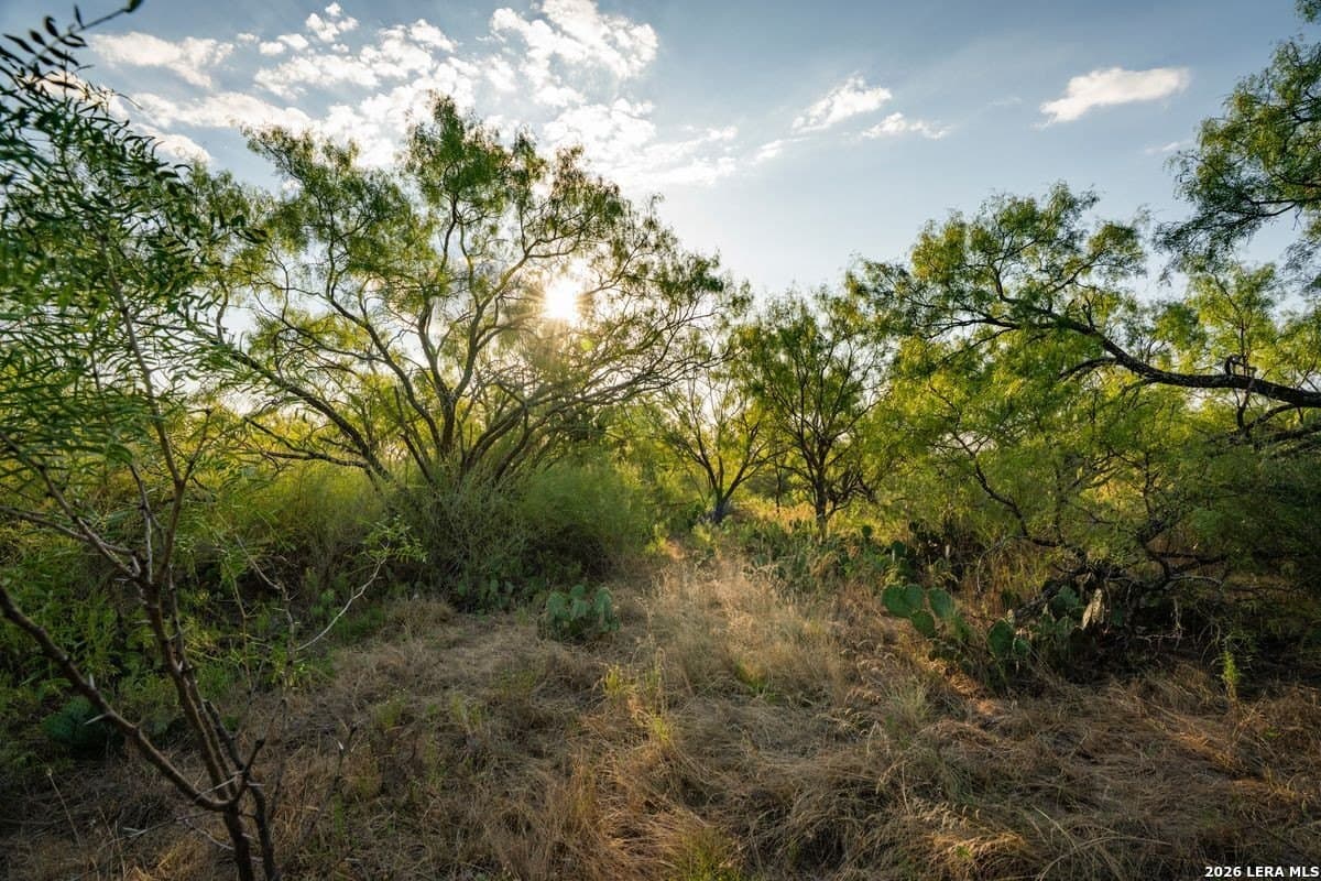 124 acres in Mason Co County - photo 42