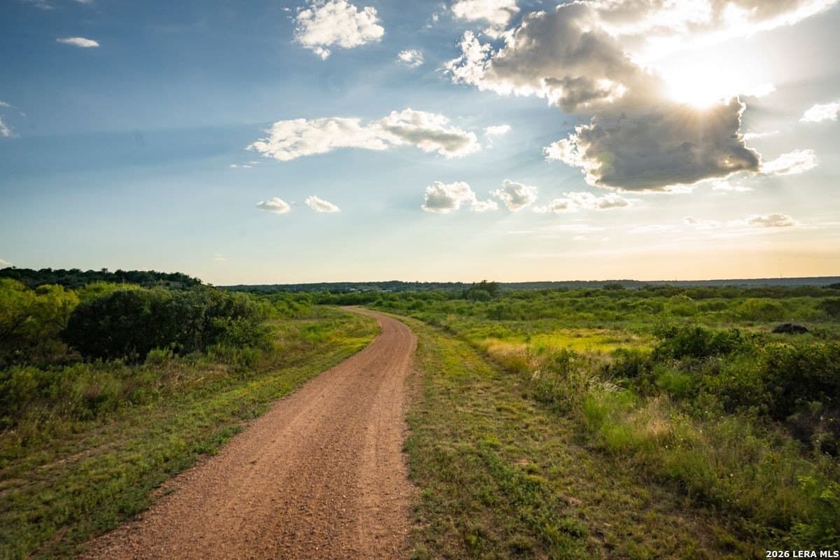 124 acres in Mason Co County - photo 11