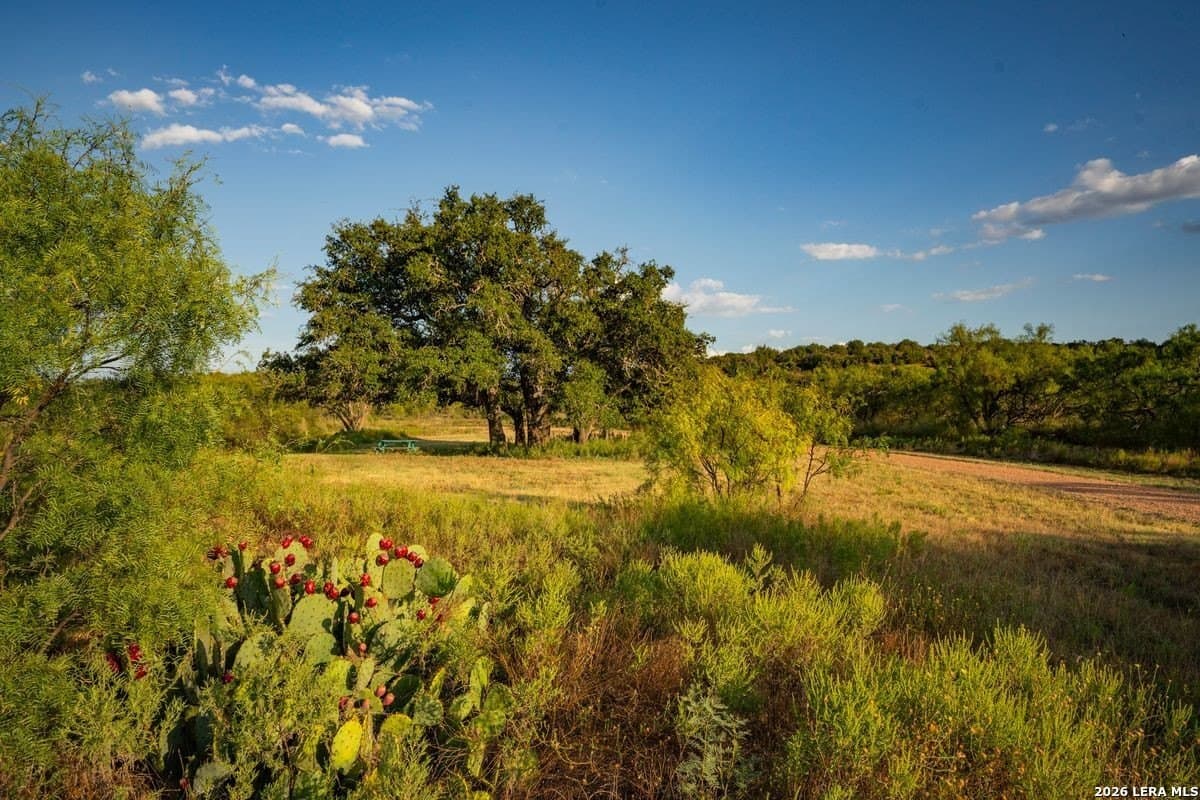 124 acres in Mason Co County - photo 44
