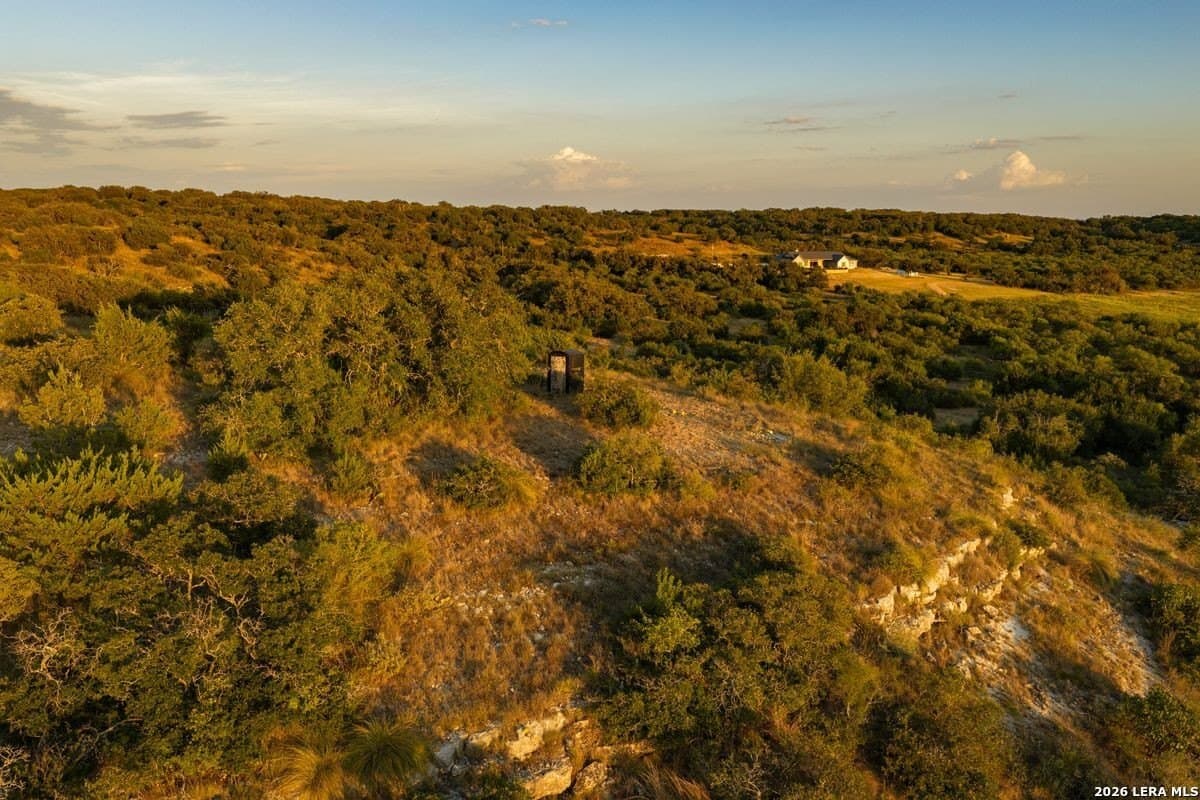 124 acres in Mason Co County - photo 4