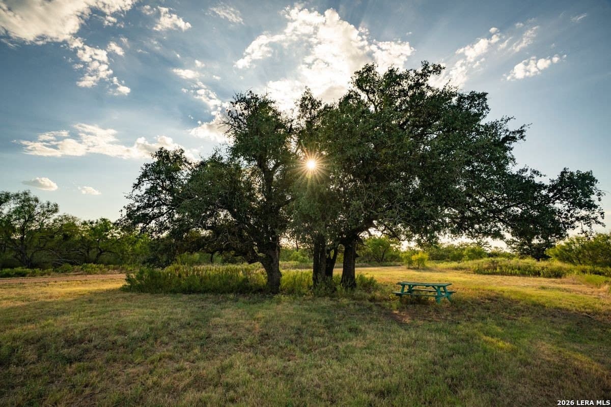 124 acres in Mason Co County - photo 40