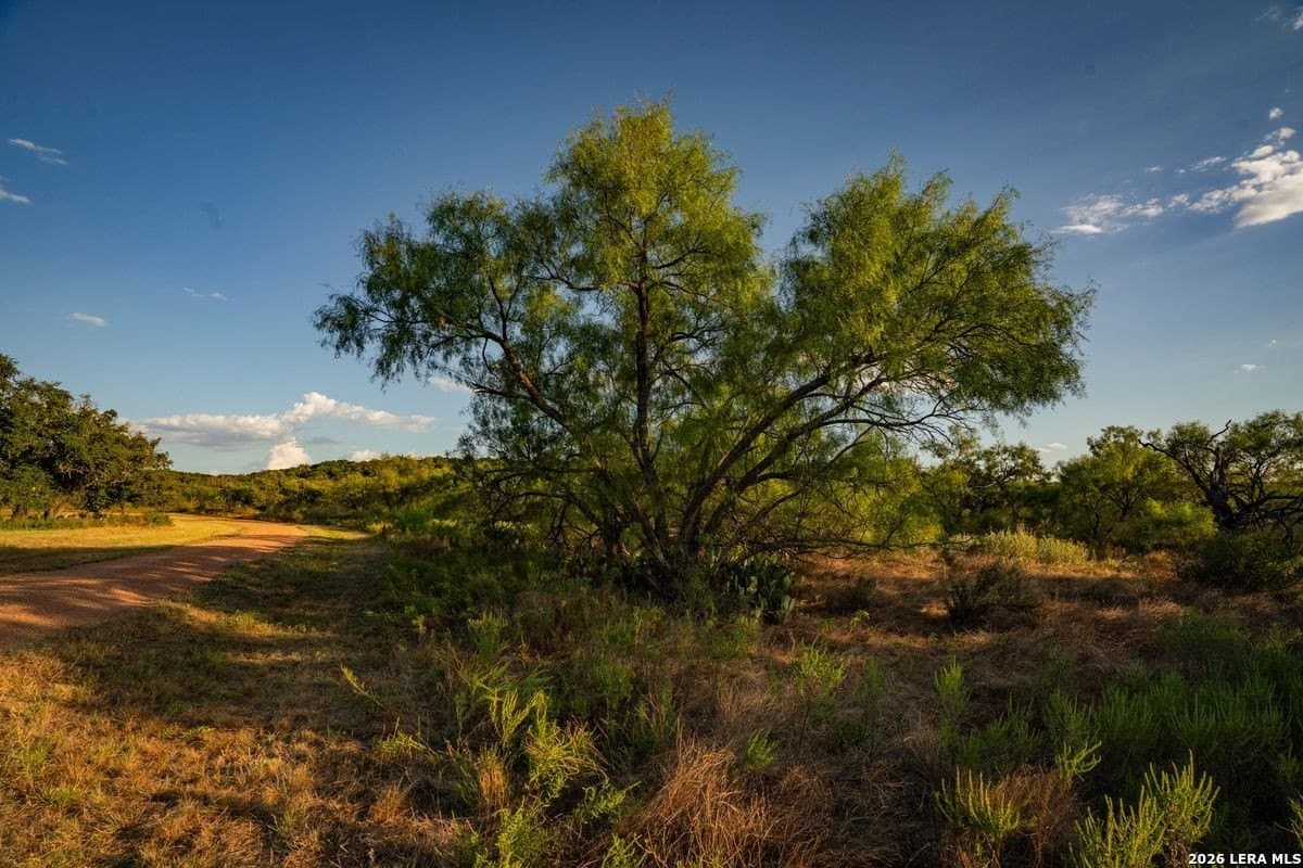 124 acres in Mason Co County - photo 46