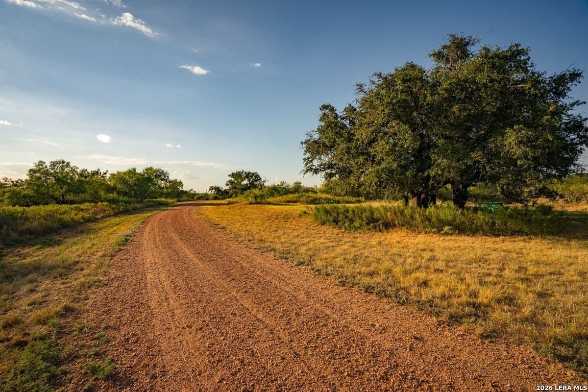 124 acres in Mason Co County - photo 10