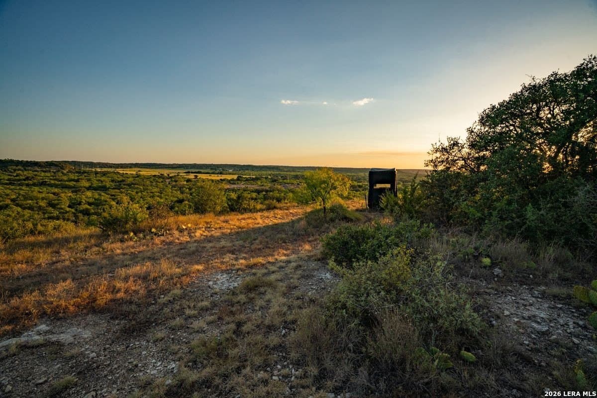 124 acres in Mason Co County - photo 8