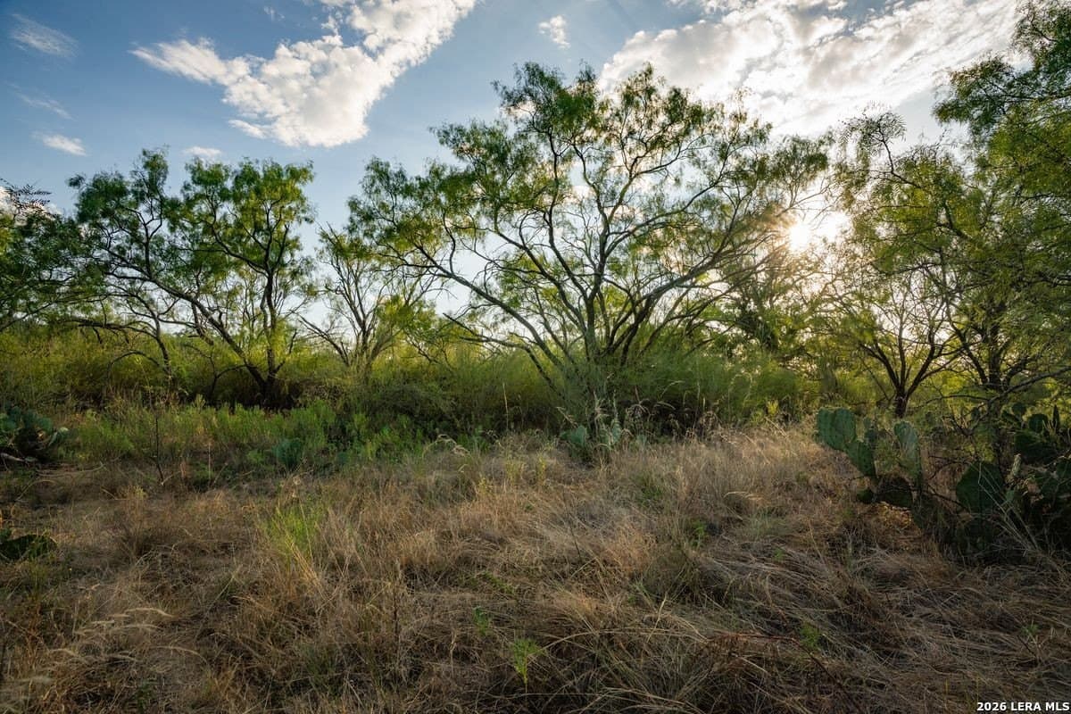 124 acres in Mason Co County - photo 41