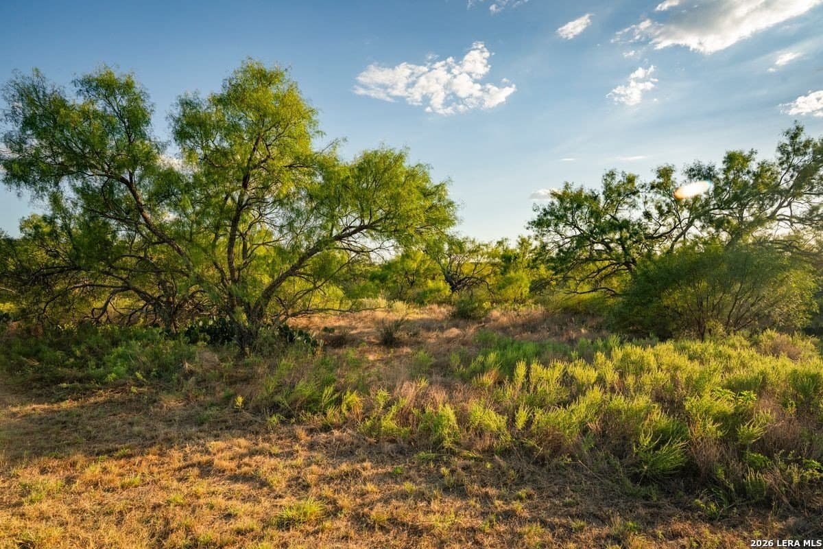 124 acres in Mason Co County - photo 43