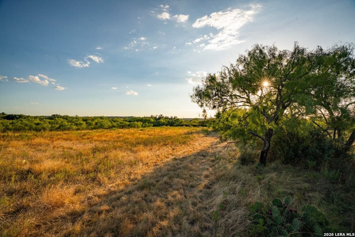 124 acres in Mason Co County - photo 48