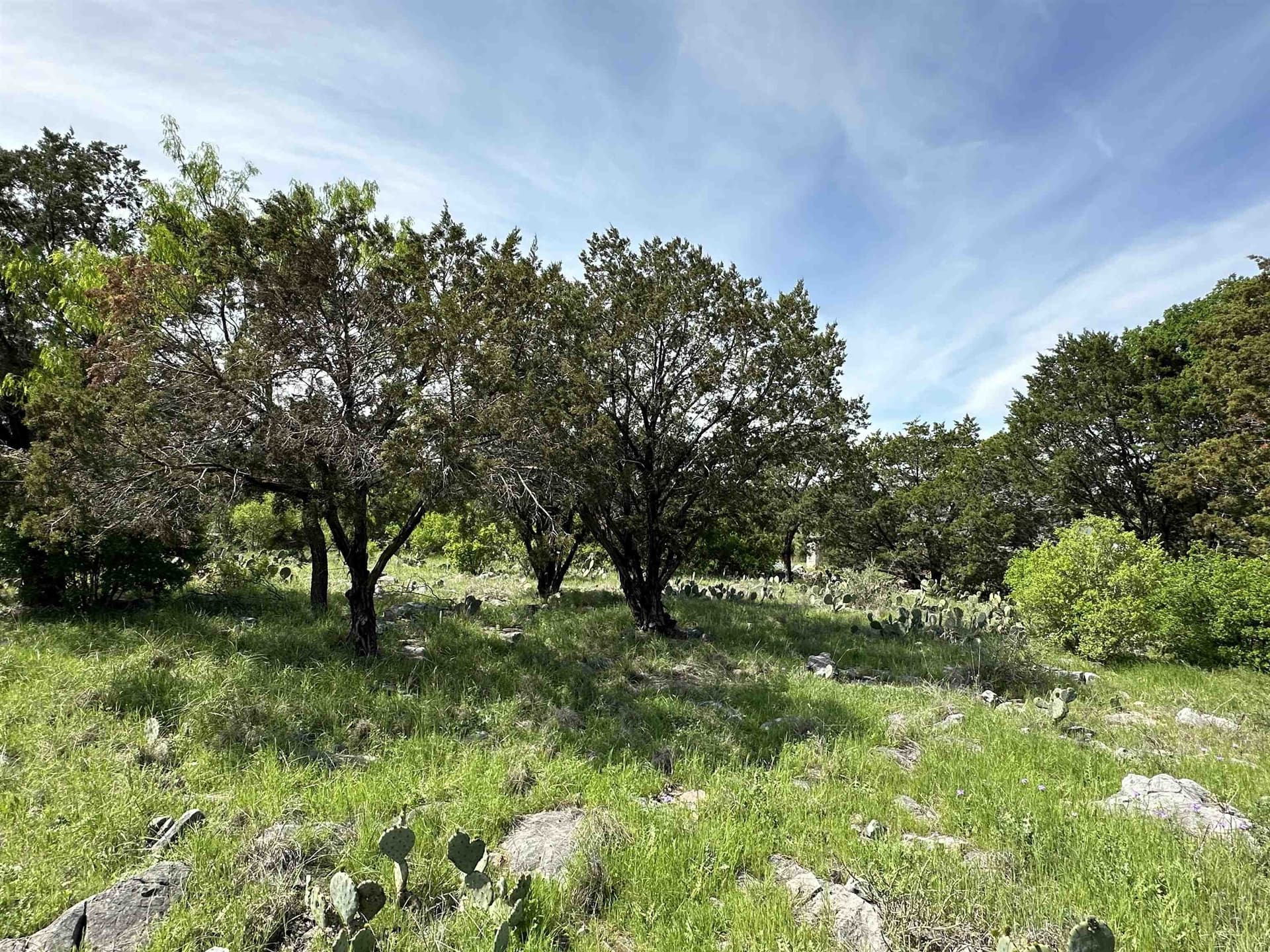 0.24 acres in Llano County - photo 13