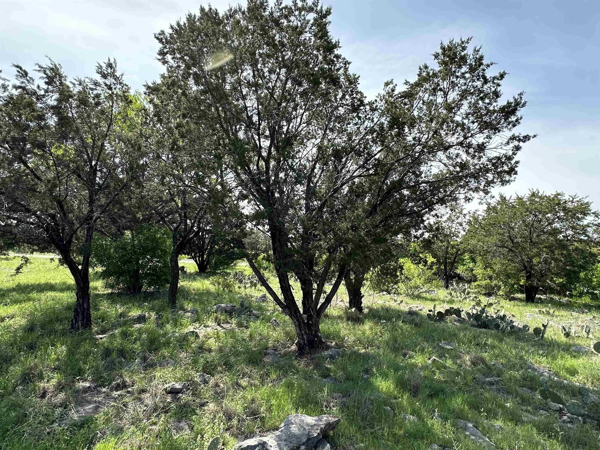 0.24 acres in Llano County - photo 8