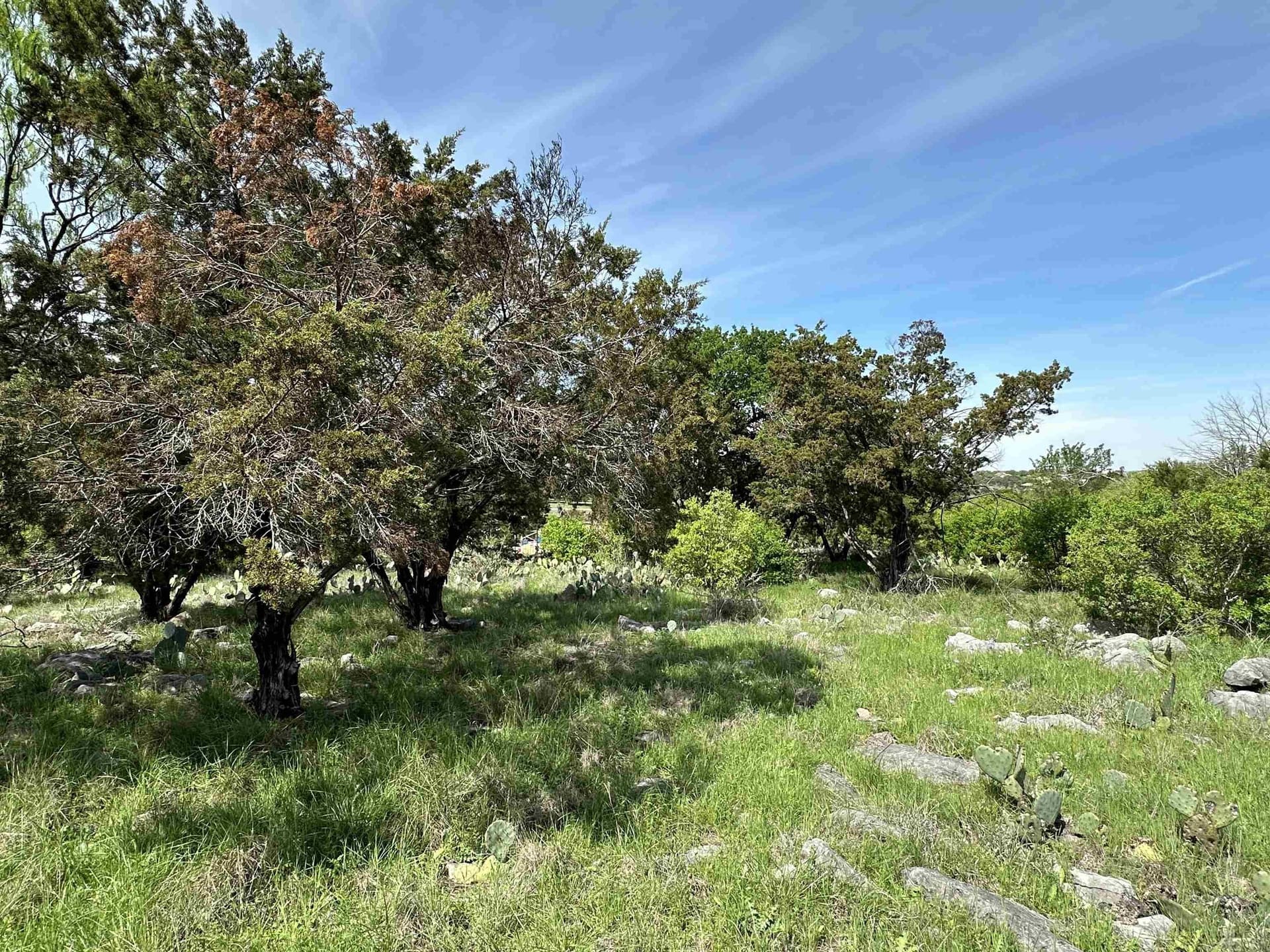 0.24 acres in Llano County - photo 11