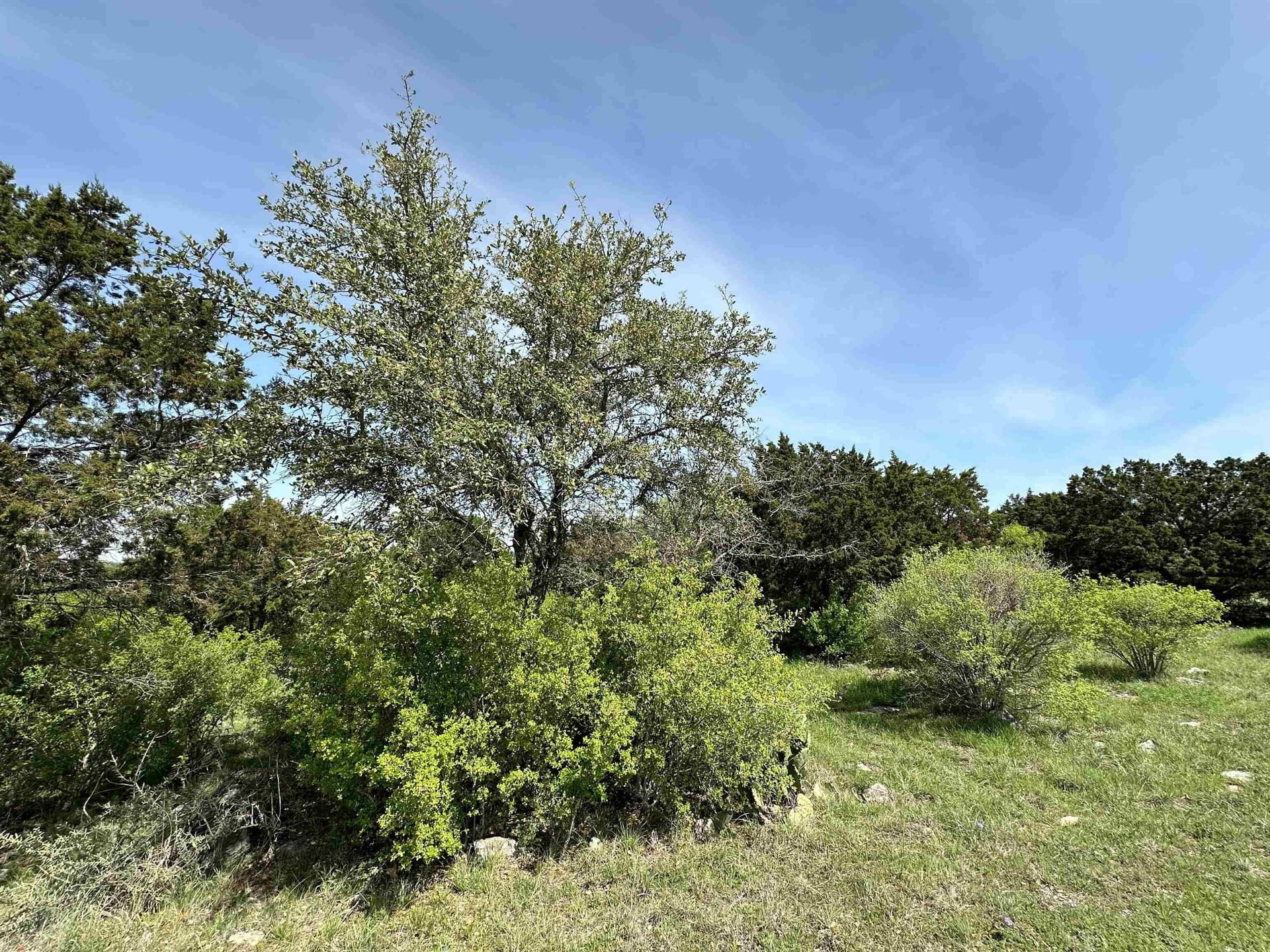 0.24 acres in Llano County - photo 6