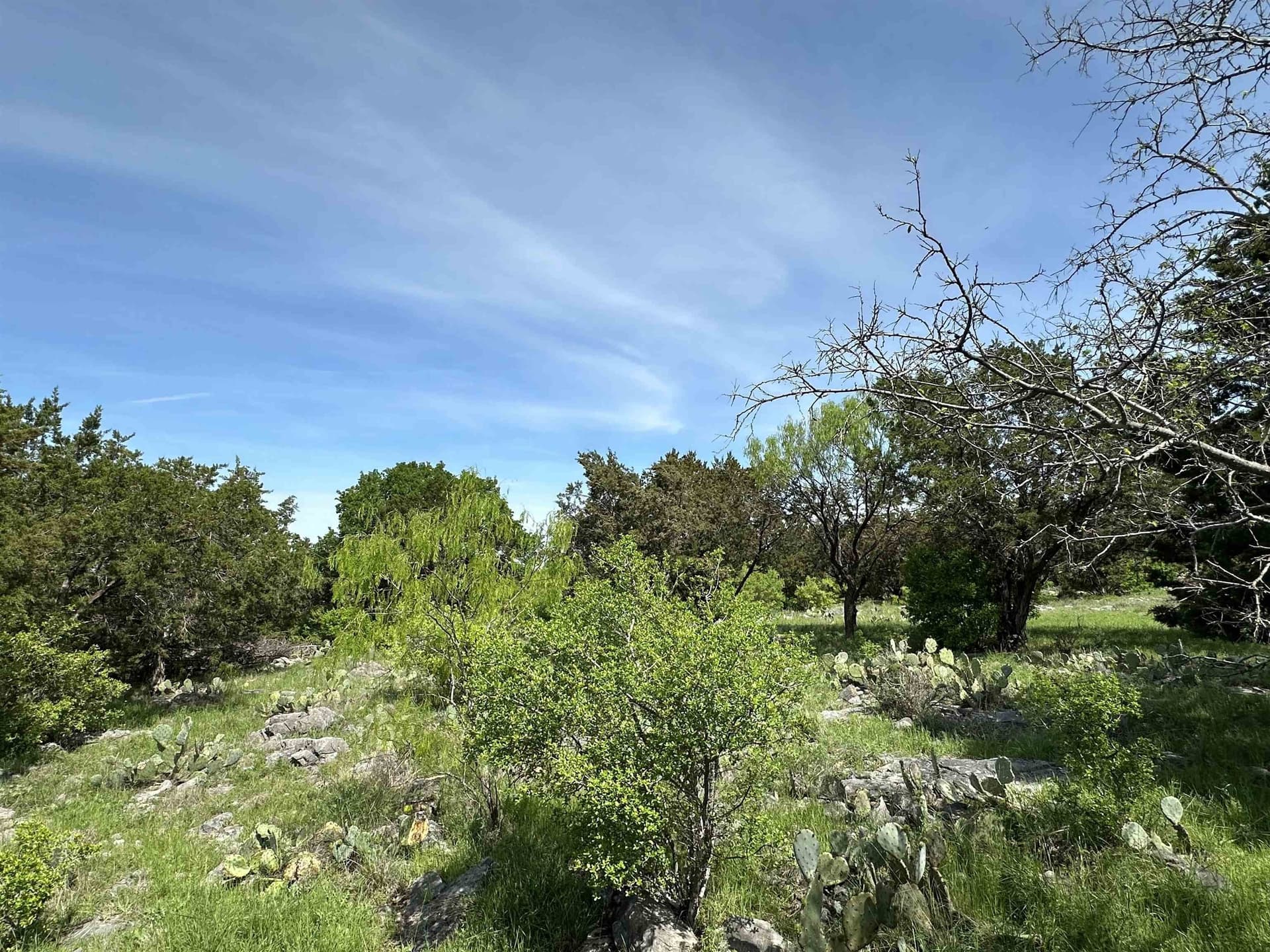 0.24 acres in Llano County gallery image 4