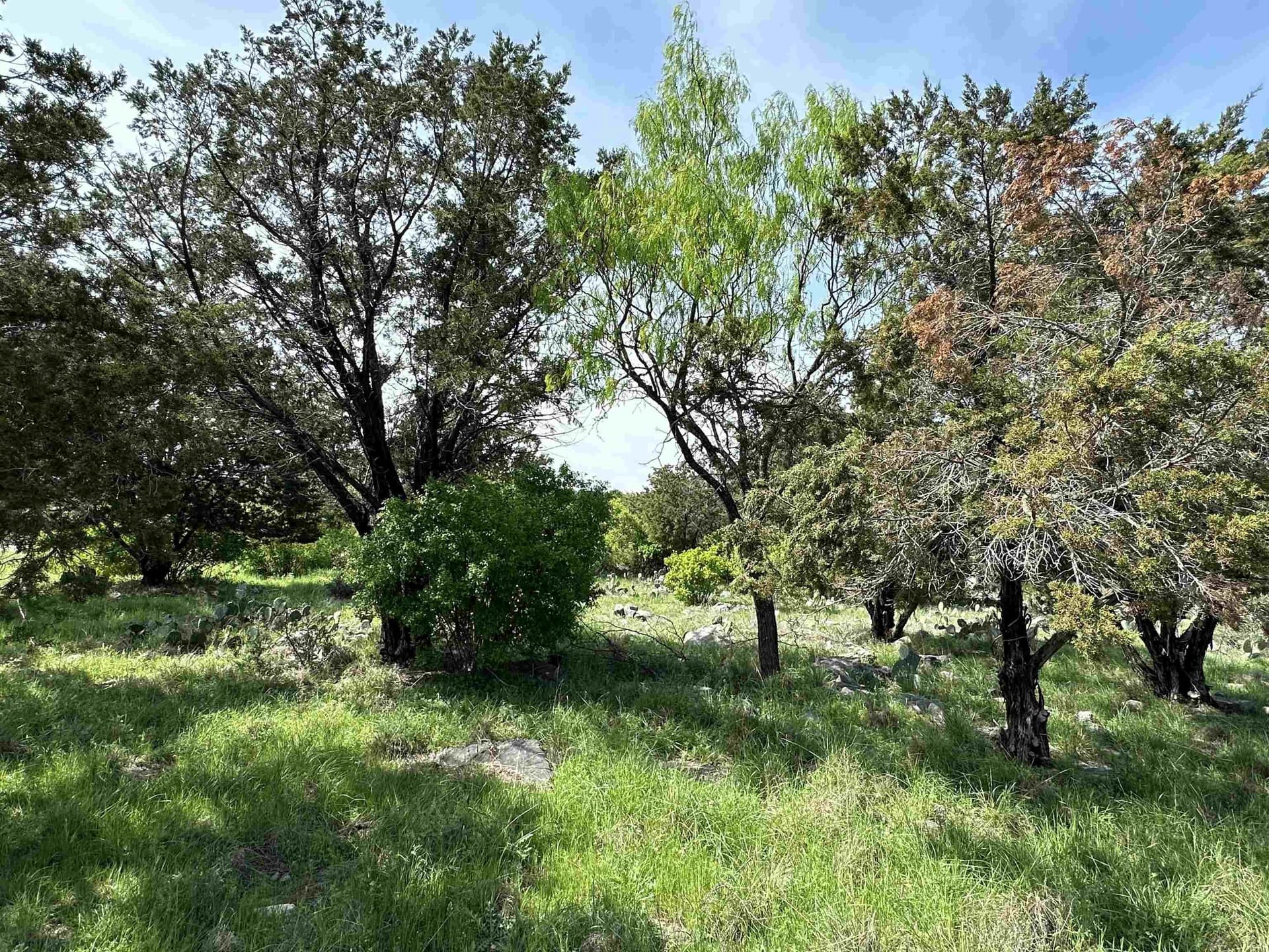 0.24 acres in Llano County - photo 10