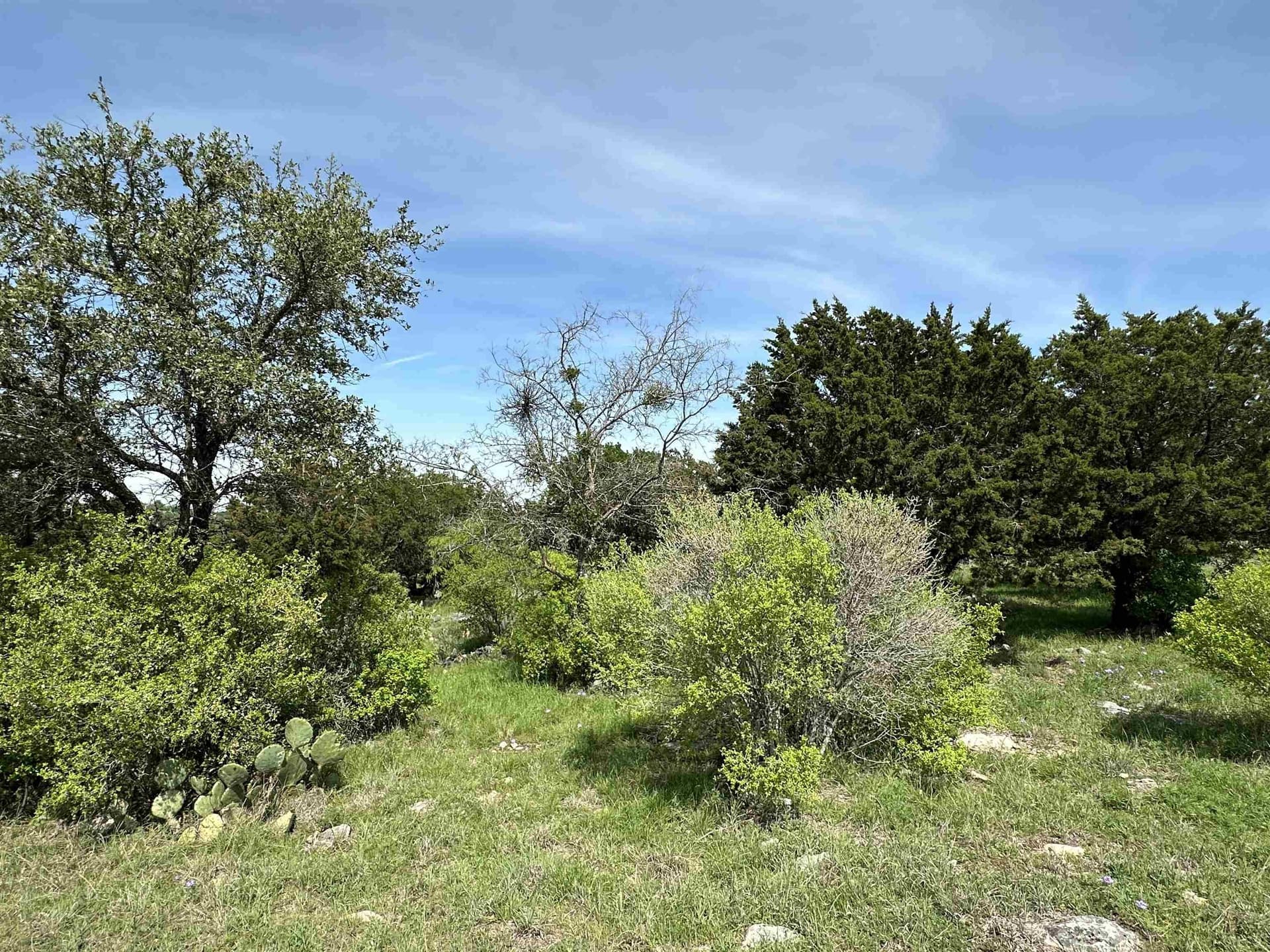 0.24 acres in Llano County gallery image 3
