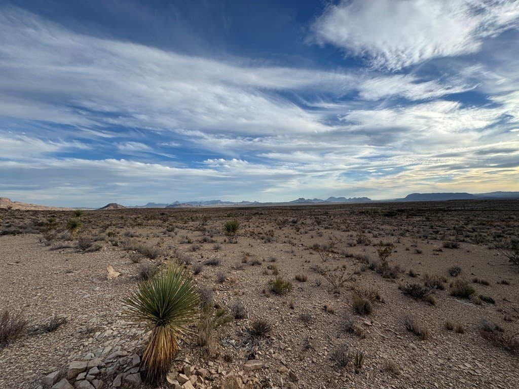 20 acres in Brewster County - photo 11