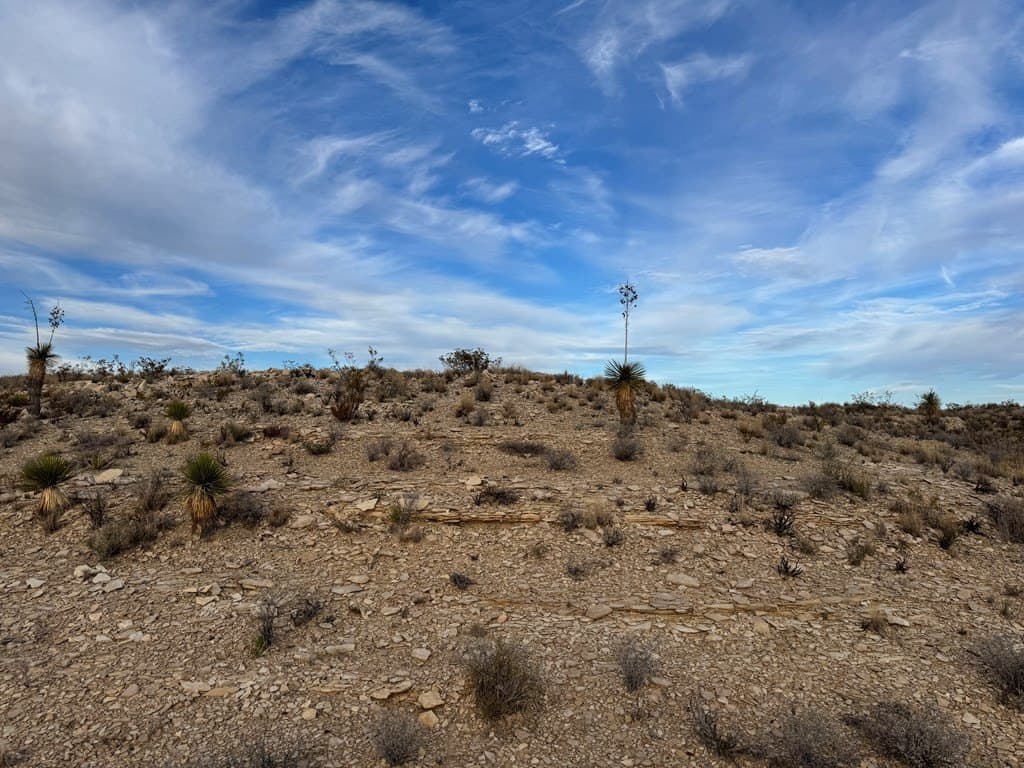 20 acres in Brewster County - photo 9