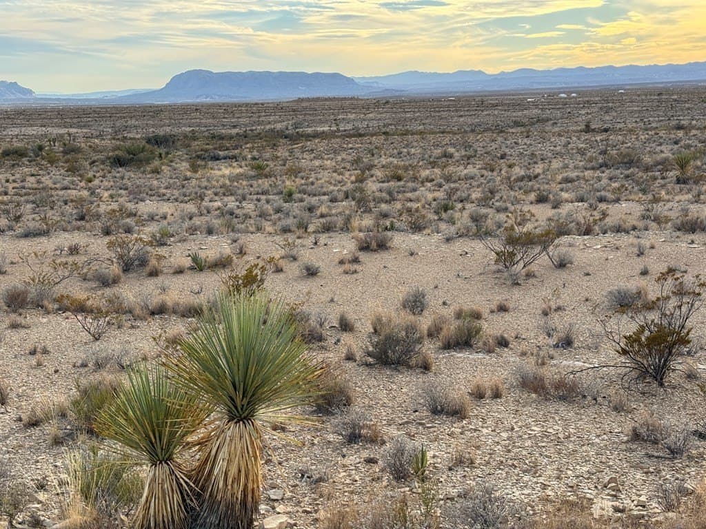 20 acres in Brewster County - photo 2