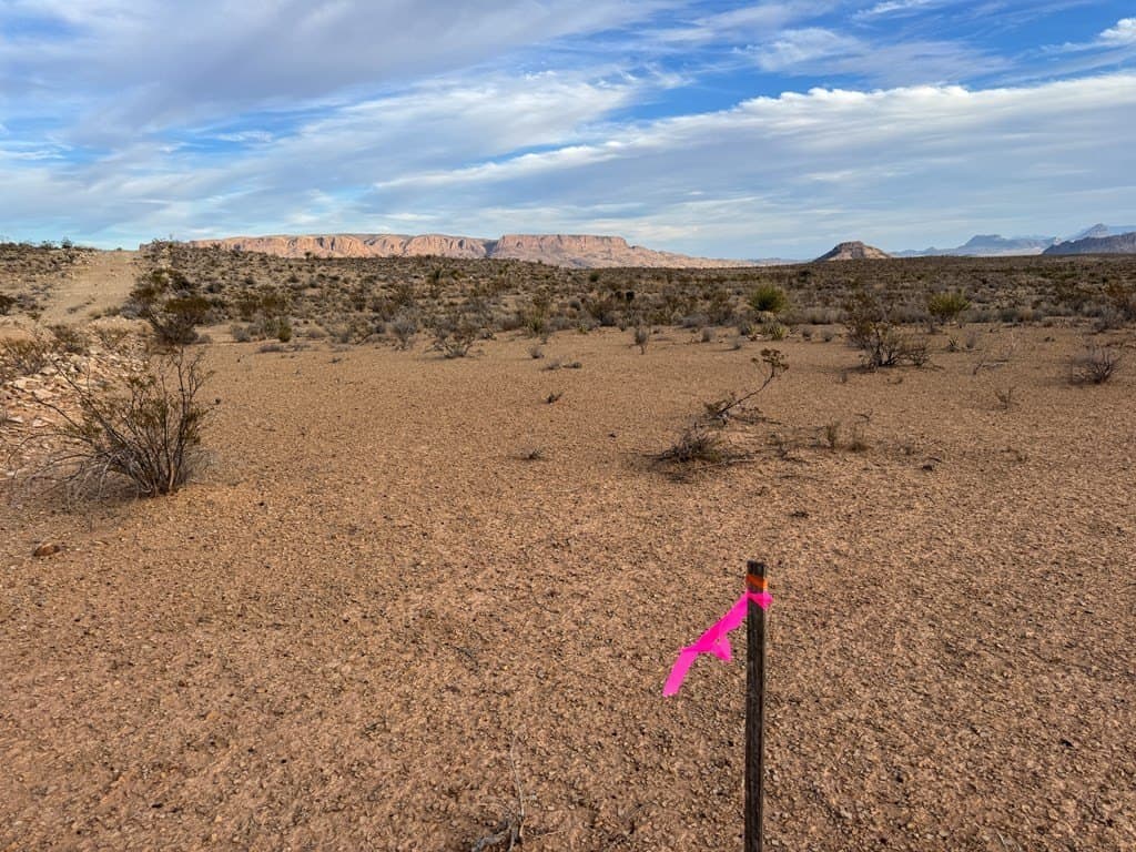 20 acres in Brewster County - photo 14